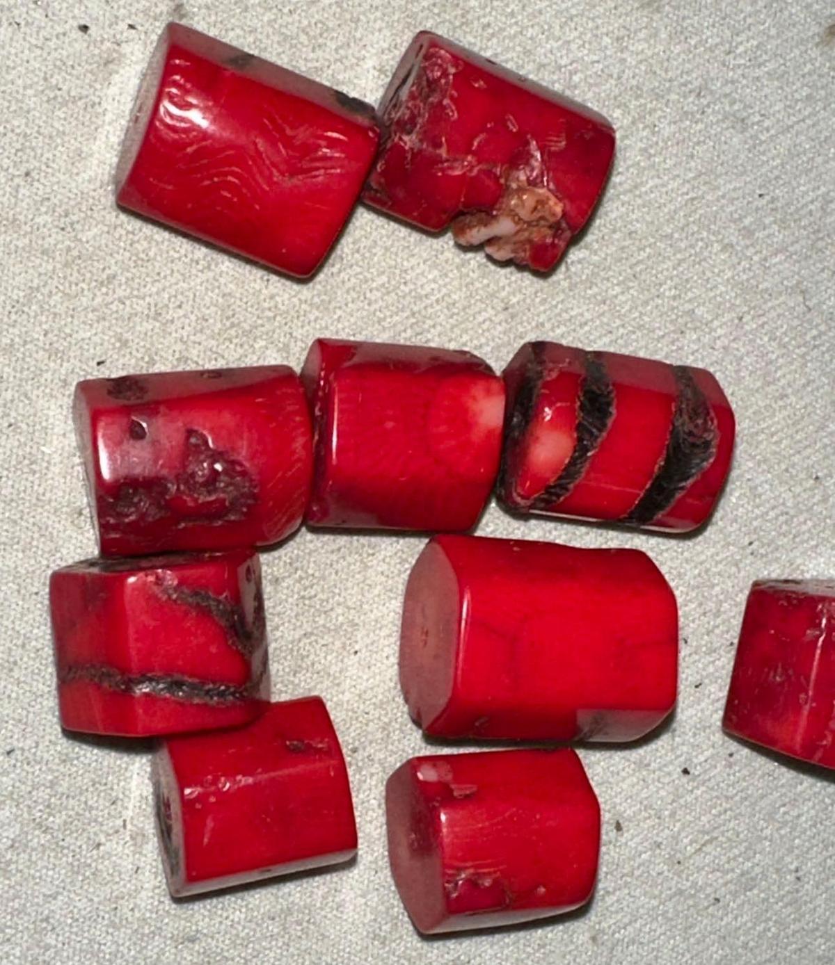 10 Blood Red Mediterranean Coral Pieces- Drilled for a Necklace