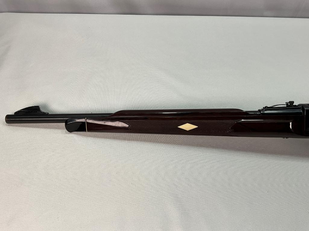 Remington Nylon 66, .22 LR Caliber Rifle