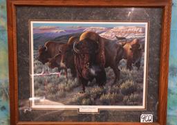 American Bison Framed Print called "Prairie Thunder" by Cynthia Fisher