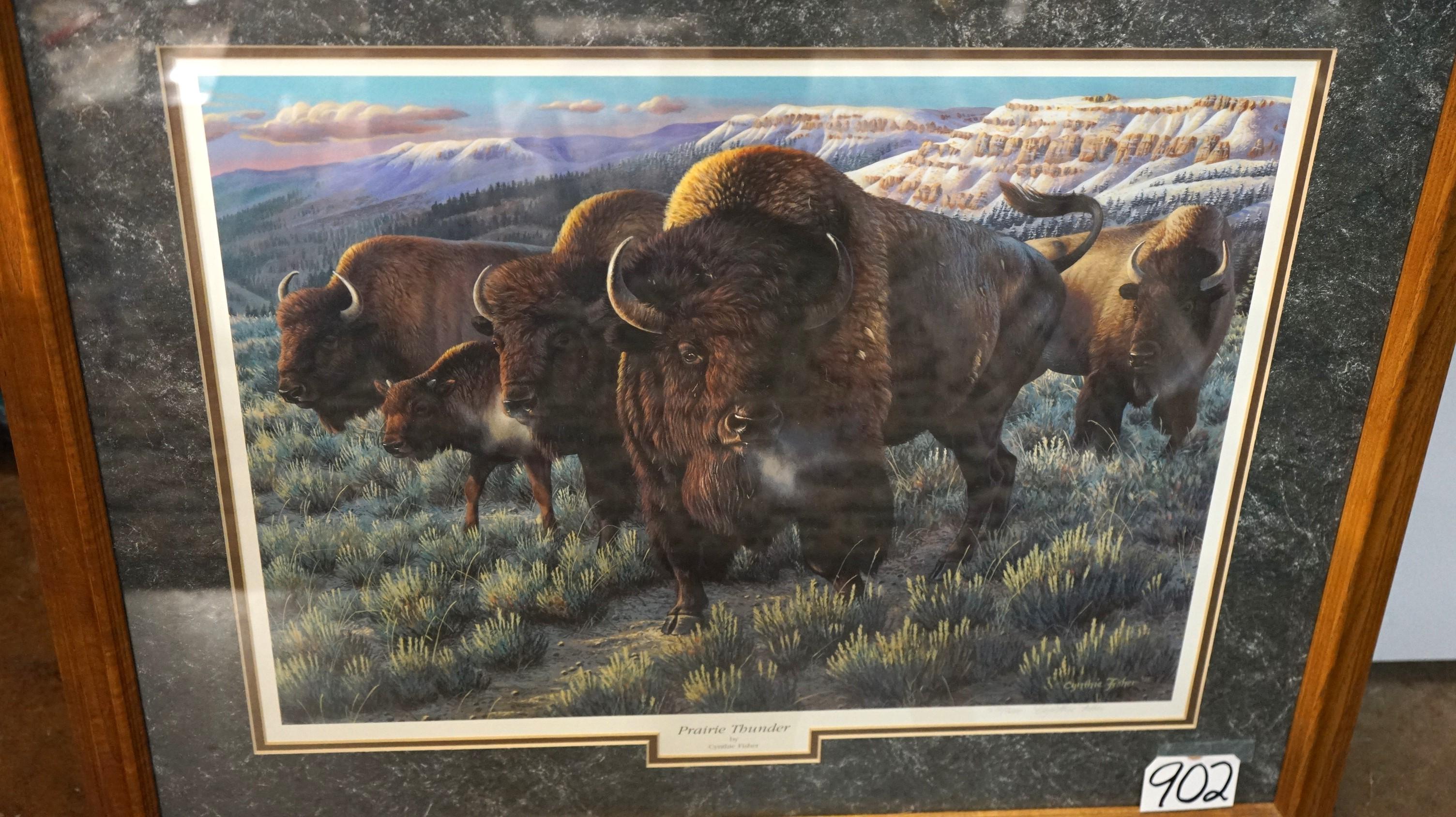 American Bison Framed Print called "Prairie Thunder" by Cynthia Fisher