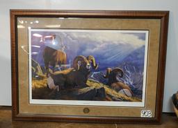 Rocky Mountain Bighorn Rams Framed Print called "Bighorn Break" produced by the NRA