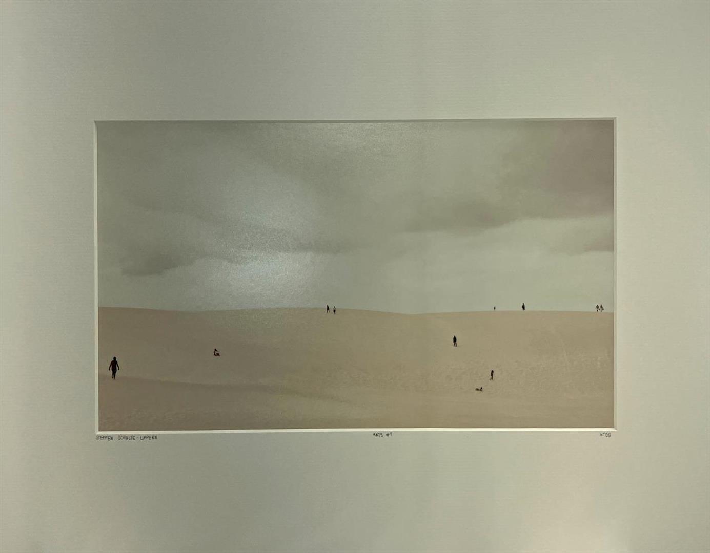 Steffen Schulte Lippern Ants #1 Desert Sand