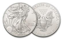 2020 American Silver Eagle.999 Fine Silver Dollar Coin