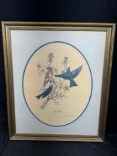 Framed Art Limited Print Western Bluebirds by E. Dudley Williams
