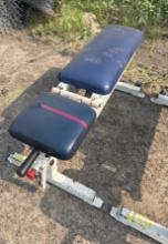 Exercise bench