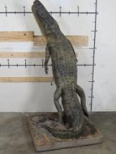 Lifesize Alligator on Base w/Wheels TAXIDERMY