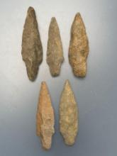 Lot of 5 Nice Poplar Island Points, Longest is 3 3/8", Mainly Found in Gloucester County, NJ