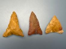 3 FINE Jasper Triangle Points, Impressive Examples, Longest is 1 7/16" Found on Taylors Island, MD