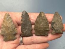 16 Nice Complete Triangle Points, Chert, Longest is 1 7/16", Found in New York,