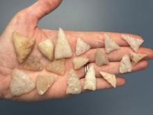 17 Fine Quartz Triangle Points, Longest is 1 1/4", Found in Gloucester County, New Jersey