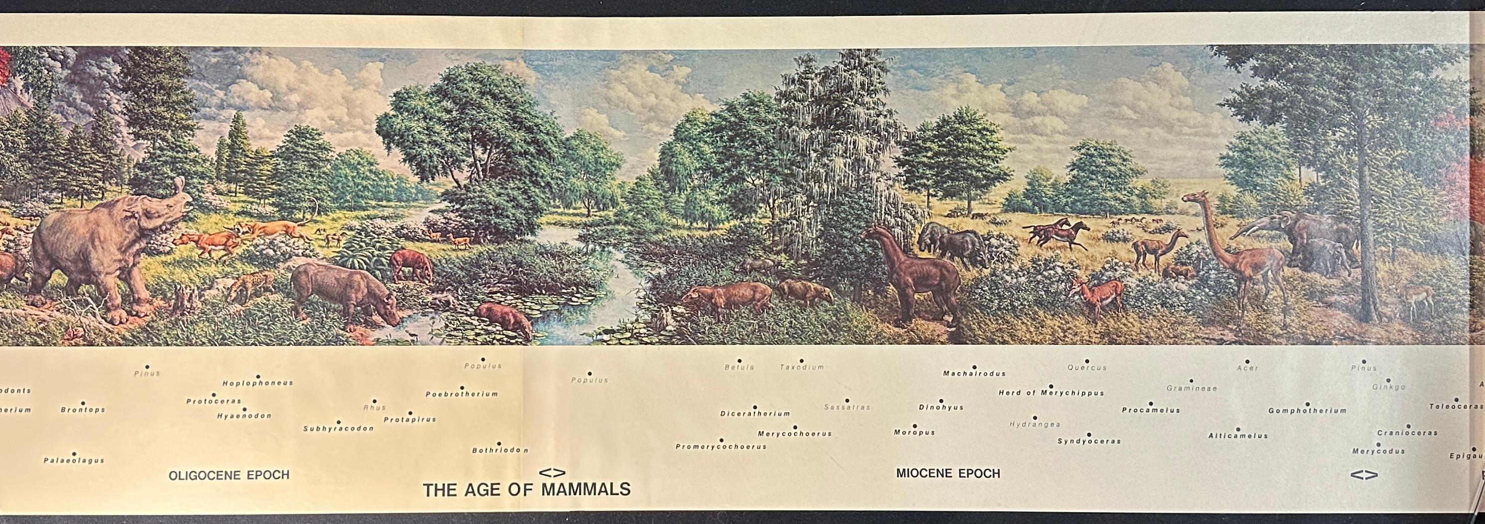 1975 The Age of Mammals Panoramic Mural