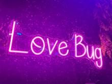 "LOVE BUG" LED NEON SIGN