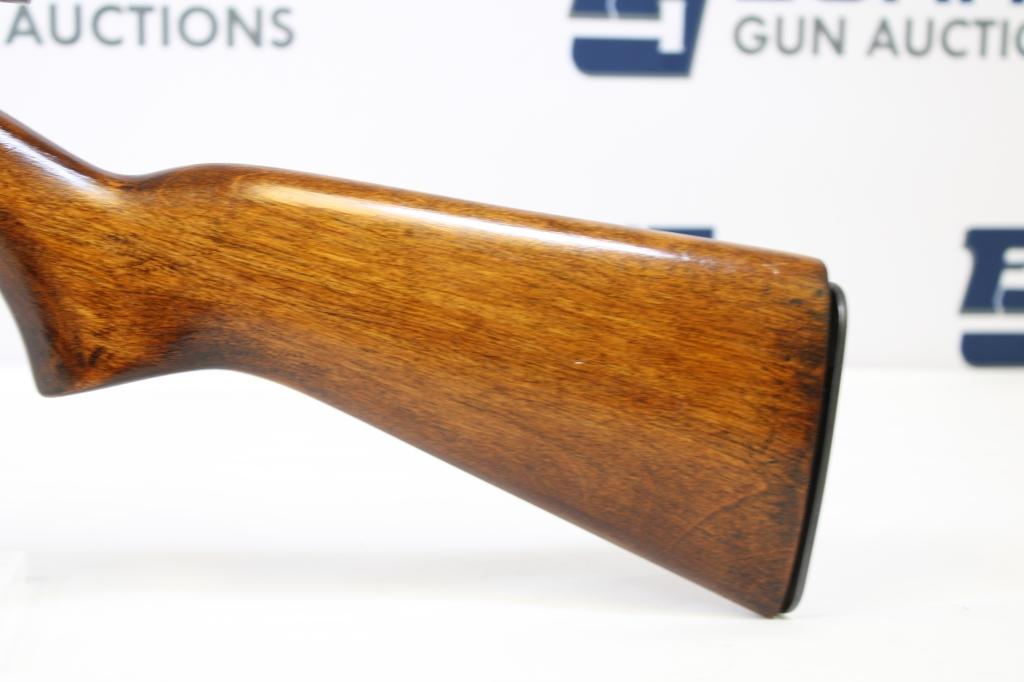 Winchester 190 .22L or LR