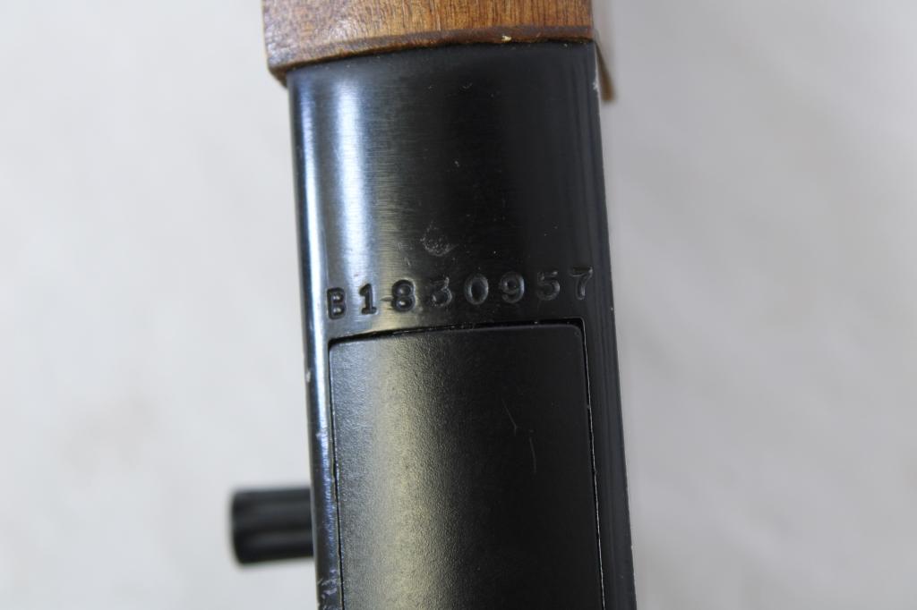 Winchester 190 .22 LR
