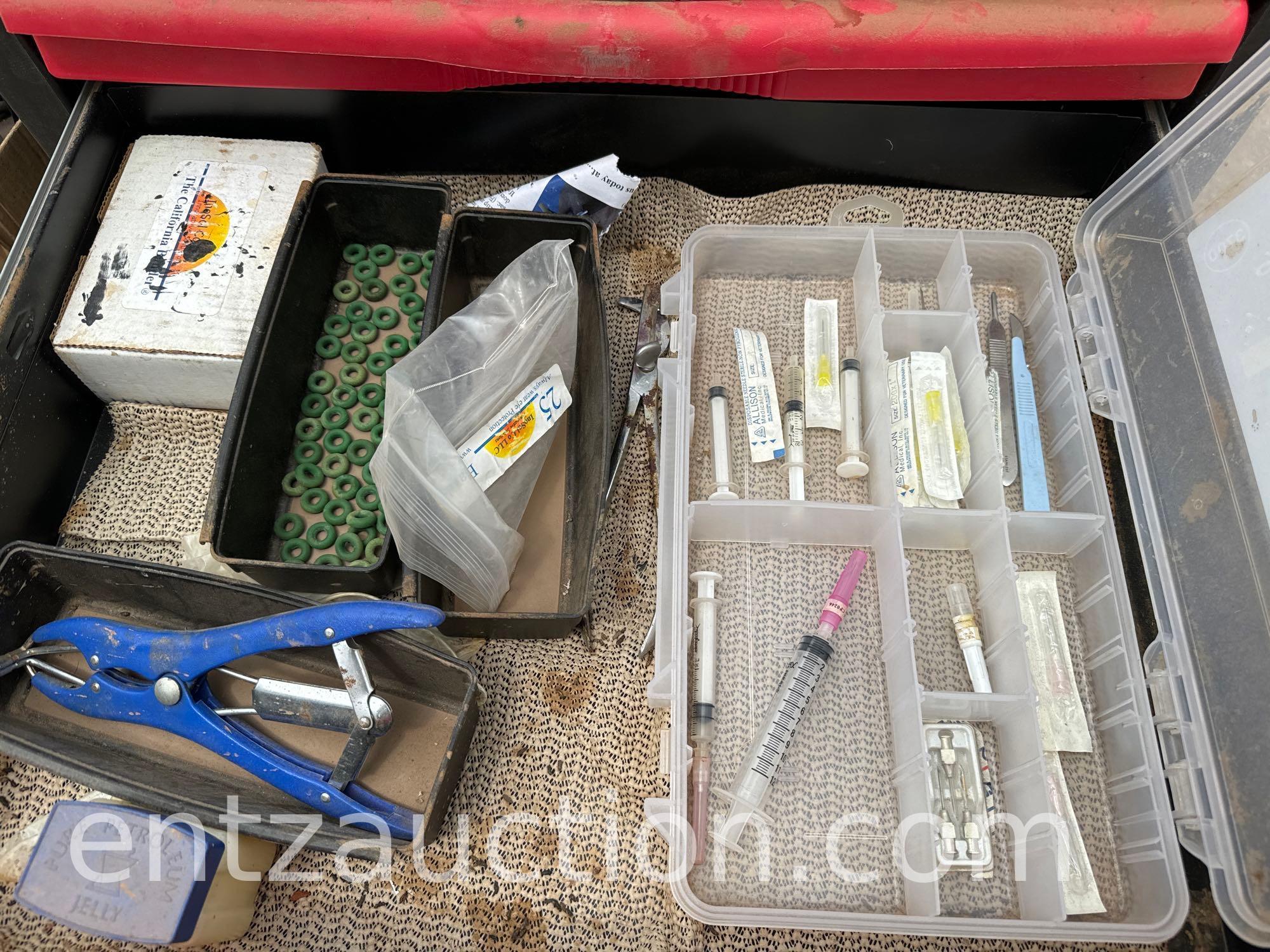 SMALL TOOL CHEST W/ CATTLE VETERINARIAN