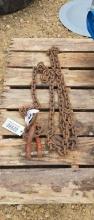LOG CHAIN 14' WITH CLEVIS