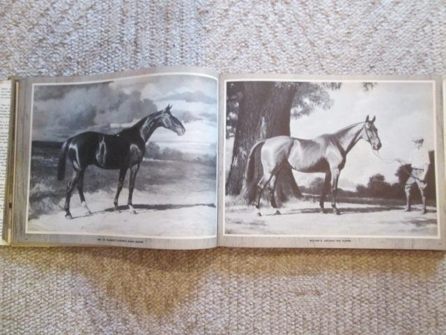 1952 "Portraiture's of Horses" by George Ford Morris Coffee Table Book