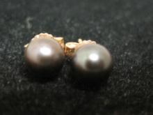 14k Gold Pearl Stud Earrings