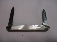 1980's Case XX #8201 2 Blade Knife with Mother of Pearl Handle