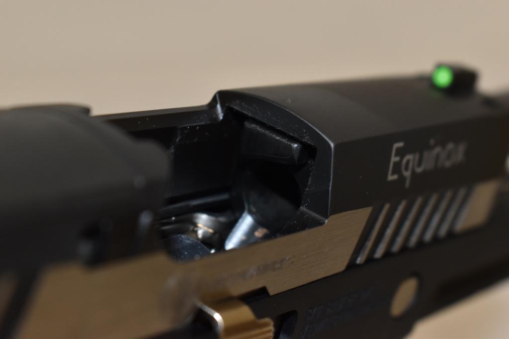 Gun. Sig Sauer Model P320 9mm Pistol