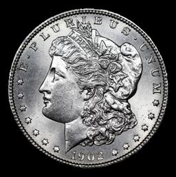 1902-o Morgan Dollar $1 Grades Choice+ Unc