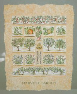 Herbal & Harvest Garden Pictures