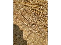 10 Bales 4x5 of Rotary Hard Red Wheat Straw
