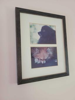 Dog Picture in Frame $1 STS