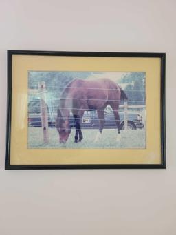 Horse Picture in Frame $1 STS