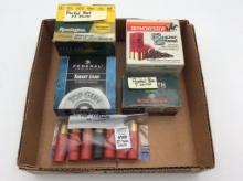 Group of 12 Ga Ammo Including