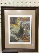 Framed-Signed & Numbered White Tail