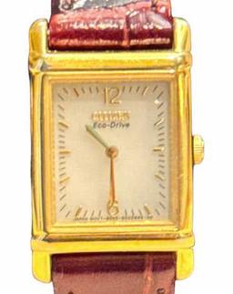 Ladies Citizen Eco-Drive Wrist Watch with Brown