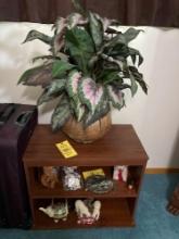 Shelf with plant
