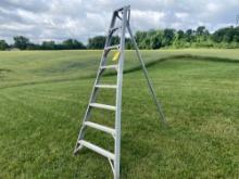 F.R. Stokes Aluminum Orchard Ladder 8ft