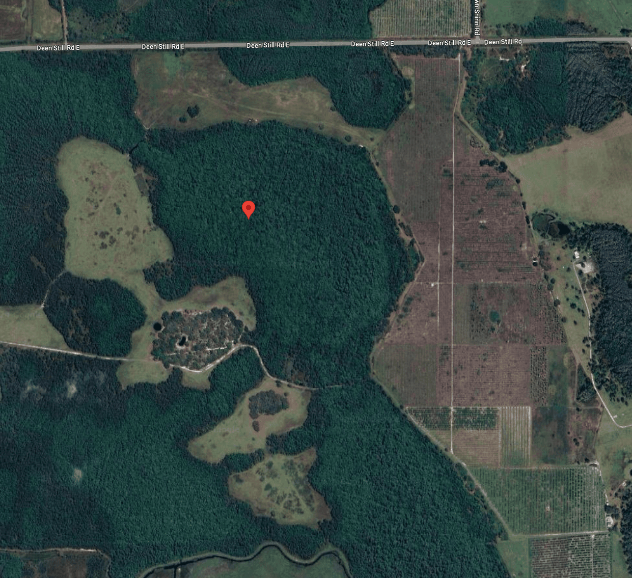 Capture This Investment Opportunity: 1.25 Acres in Polk County, Florida!