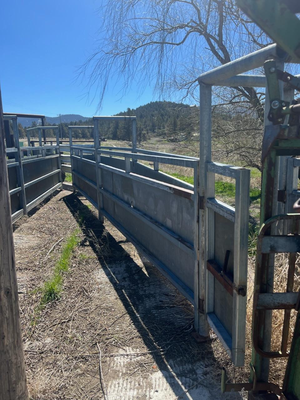 Cattle chute and lead up