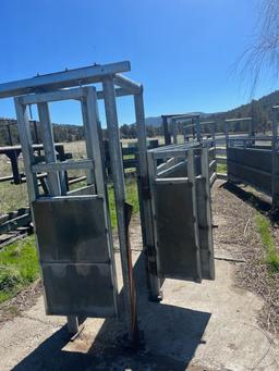 Cattle chute and lead up