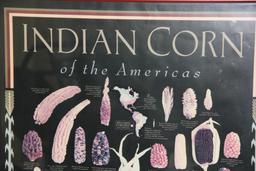 Framed Indian Corn Poster