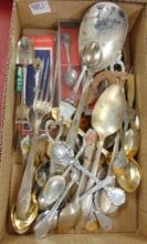 Variety of Collector Spoons.