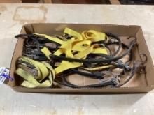 Box lot of tie downs and bungee cords
