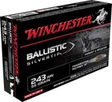 Winchester Ammo SBST243 Ballistic Silvertip Hunting 243 Win 55 gr Fragmenting Polymer Tip 20 Per Box