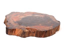 Large Slab of Petrified Wood, Millions of Years Old
