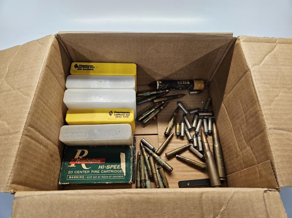 Collection of Misc Loose Ammo & Box includes 50bmg