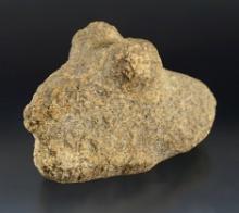 Large 4 1/2" x 2 7/16" Bust Birdstone Preform. Found by William Trout - Whitley Co., Indiana.