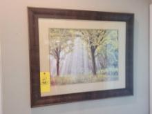 Modern framed sunbeam through the treetops print