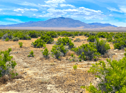 160 Acres Between the Mountains in Lander County, Nevada! BIDDING IS PER ACRE!