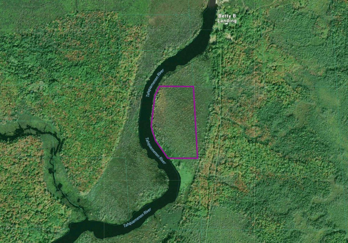 17.2 Acres with 1,400 Foot River Frontage in Michigan's Upper Eastern Peninsula!